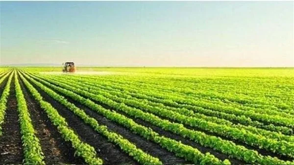 التكنولوجيا الحديثة تخفض تكاليف الإنتاج الزراعي