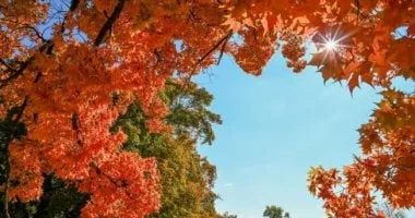 موعد بدء فصل الخريف 2026
