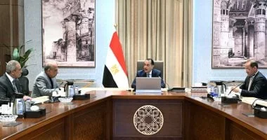 مدبولي يتابع تمويل مشروعات الطاقة المتجددة