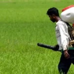 التعاون الماليزي مع آسيان لحماية الإمدادات الغذائية