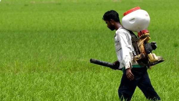 التعاون الماليزي مع آسيان لحماية الإمدادات الغذائية