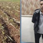 القبض على متهم بإتلاف محصول زراعي بالبحيرة