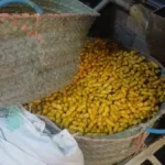 ضبط مواد محظورة في أسيوط لحماية المستهلكين