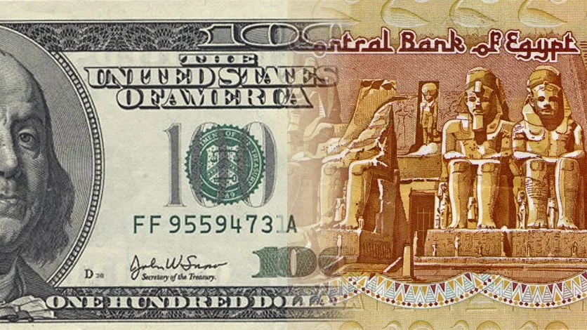 تراجع سعر صرف الدولار مقابل الجنيه المصري اليوم