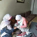 قرار السيسي بزيادة المعاشات إنجاز اجتماعي مهم