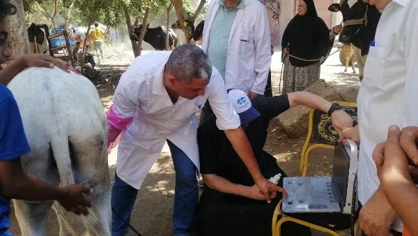 قافلة بيطرية مجانية تقدم خدماتها لـ 1745 حيوان وطائر