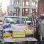 ضبط ربع طن دجاج غير صالح للاستهلاك بشبين الكوم