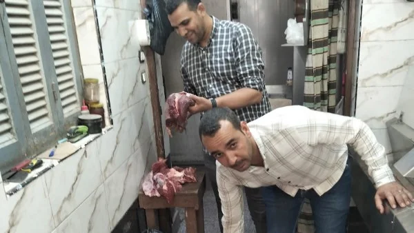 ضبط 250 كيلو لحوم ودواجن فاسدة في منفلوط