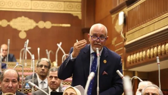 زيادة المعاشات 15% تعكس اهتمام السيسي بالحماية الاجتماعية