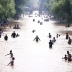 أسوأ موجات الحر عبر التاريخ التي أودت بحياة الآلاف