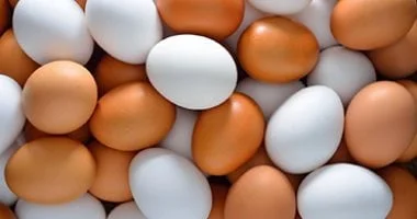 حماية قطاع البيض من تحديات الصيف في مصر