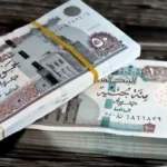 زيادة المعاشات تعكس حرص الدولة على الأمان الاجتماعي