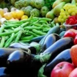 استقرار أسعار الخضروات في الأقصر اليوم