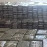 ضبط عاطل بحوزته 50 كيلو جرام من الحشيش في الدقهلية