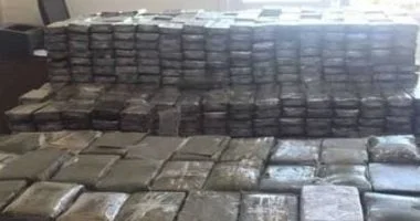 ضبط عاطل بحوزته 50 كيلو جرام من الحشيش في الدقهلية