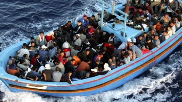 كشف شبكة تهريب المهاجرين في القاهرة الجديدة