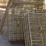 قوافل دعوية مشتركة من الأوقاف والأزهر إلى 3 محافظات