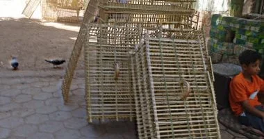 قوافل دعوية مشتركة من الأوقاف والأزهر إلى 3 محافظات