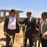 إنشاء مركز لإيواء الكلاب الضالة في أسيوط