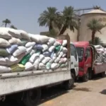 سوهاج تتوقع توريد 200 ألف طن قمح حتى أغسطس
