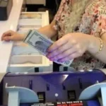 استقرار سعر الدولار أمام الجنيه المصري