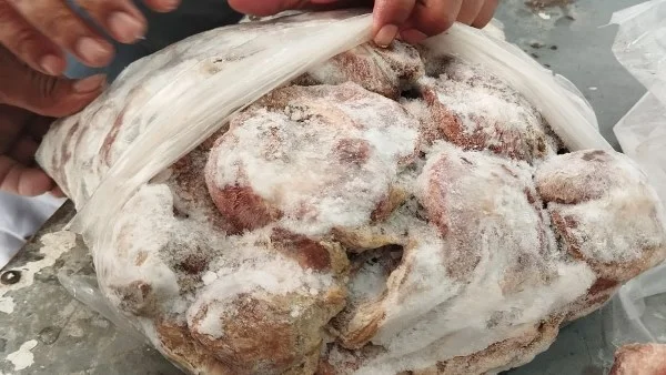 ضبط 10 أطنان من الطيور والدجاج الفاسد في الإسماعيلية