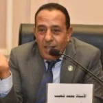 زيادة المعاشات تأكيد على أولويات الرئيس السيسي