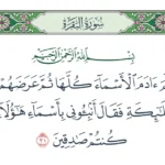 الأسماء التي علمها الله لآدم: دراسة دينية عميقة