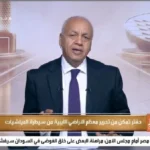 تحركات مصر وتركيا والسعودية لحل الأزمة الليبية