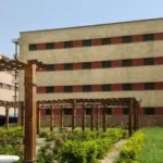 برنامج التدريب الصيفي 2026 بكلية التجارة جامعة عين شمس