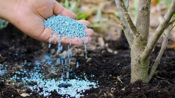 توزيع 5.8 مليون شيكارة أسمدة للمزارعين في المحافظات