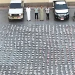 الداخلية تضبط 3 أطنان مخدرات بالإسماعيلية