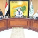 تحديث المخطط الاستراتيجي العام لمدينة الفيوم