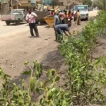 إطلاق مبادرة “ازرع شجرة” في أبو النمرس