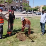تزيين الشارع التجاري بحي الشيخ زايد بالإسماعيلية