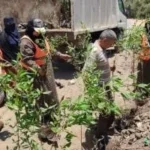 مبادرة “ازرع شجرة” في أبو النمرس لتحسين البيئة