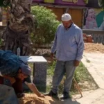تطوير حدائق دكرنس: خطوة جديدة نحو تحسين البيئة العامة
