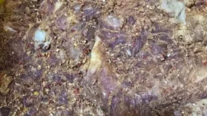 ضبط ربع طن لحوم ودواجن غير صالحة ببنها