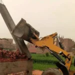 إزالة تعديات على الأراضي الزراعية في الإسكندرية