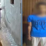 القبض على متهم بالتعدي على قطة بكفر الشيخ