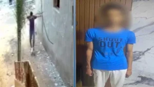 القبض على متهم بالتعدي على قطة بكفر الشيخ