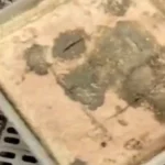 ضبط 1.5 طن من الجبن الفاسد بمدينة العبور