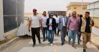 3 قرى و2000 منزل بالوادي الجديد تستعد للزراعة