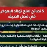 نصائح وزارة الصحة للحد من تكاثر البعوض في الصيف