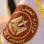 وزارة العمل تعلن عن 200 فرصة عمل جديدة في الجيزة