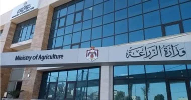 وزارة الزراعة تطلق خطة طوارئ لمواجهة دودة الحشد