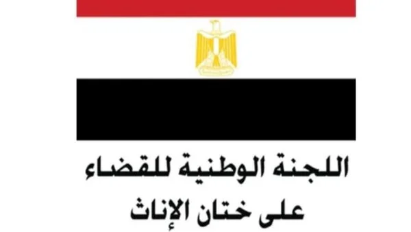 اجتماع اللجنة الوطنية لمناهضة ختان الإناث