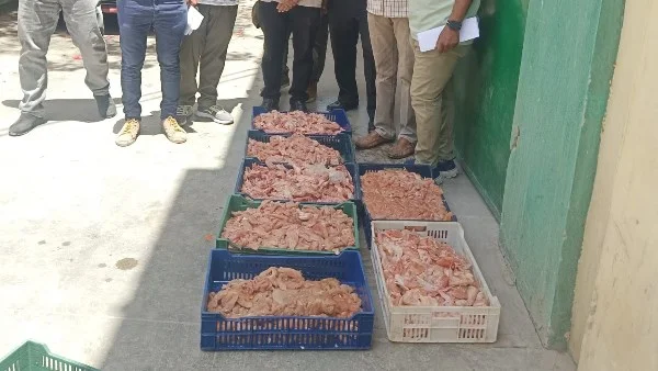 ضبط 572 كجم من اللحوم غير الصالحة في المنيا