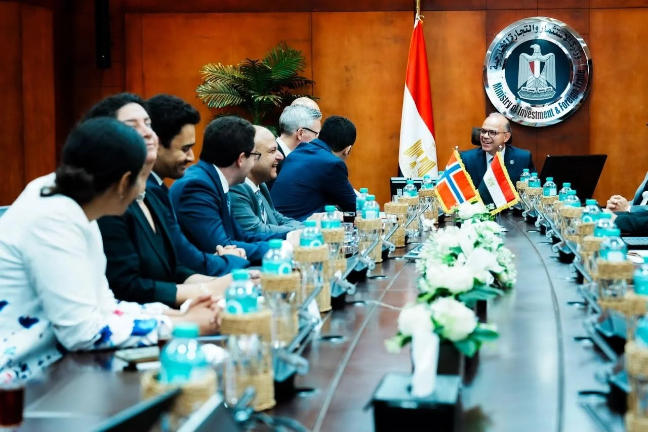 مصر تسعى لتكون مركزاً إقليمياً للطاقة النظيفة