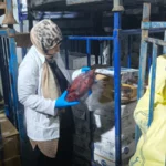 ضبط 17 طن لحوم ودواجن فاسدة بالعاشر من رمضان